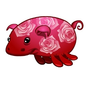 Pink Rose Sea Pig